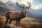 Monarch Of The Glen. AI generated