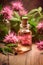 Monarda essential oil in a bottle. Generative AI,