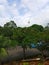 monas monument and plants in the garden