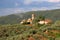 Monastery In Artimino