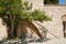 Monastery of Filerimos, Rhodes Island, Greece. Stone stairs