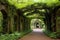 monastery garden archway draped with vines