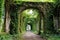 monastery garden archway draped with vines