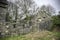 Monastery ruins on british countryside
