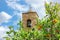 Monastery of St. Barnabas in Cyprus and blooming oranges trees