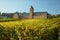 Monastery with a vineyard