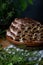 Monastic hut pie. Homemade cakes, sweet cake with cherry filling and cream. Collected from tubes, dough is rolled. Cake on the