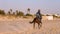 Monastir, Tunisia - 09 June 2018. Rider galloping on horse at sand in summer day. Horse riders training on beach