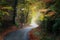 Monchsberg trail with autumn vegetation - Salzburg, Austria