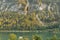 Mondsee Alpine lake autumn landscape, Austria