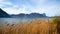 Mondsee lakeside with reed grass, autumnal landscape Salzkammergut Austria