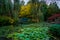 Monet Bridge at the Grounds For Sculpture