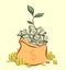 Money bag with bunches of dollars, coins stacks beside and money tree sprout, cartoon style, isolated vector illustration
