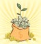 Money bag with bunches of dollars on retro rays background, coins stacks beside, money tree sprout, cartoon style, vector illustra