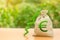 Money bag with Euro symbol and green up arrow. Increase profits and wealth. growth of wages. Favorable conditions for business