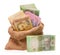 Money bag with hryvna