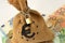 Money bag with padlock and chain over euro banknotes and coins -