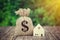 Money bag sack with a symbol dollar on old wooden table and model house beside.