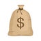 Money bag with US dollar sign isolated on white background. full sack icon flat cartoon style