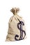 Money bag with US dollars sign