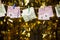 Money banknote clothespin gold bokeh