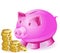 Money-box is a pig and gold coins