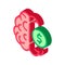 Money brainstorming isometric icon vector illustration