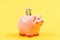 Money budget planning. Financial wellbeing. Economics and finance. Piggy bank pink pig stuffed dollar banknote cash