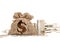 Money coin burlap sack on white background