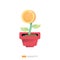 money coin plant in flower pot. Business management growth investment, profit and income icon concept