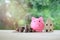 Money coin stack, pink piggy bank and wooden house over blurred green garden background, saving money and business financial
