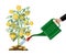 Money coin tree. Growing money tree.