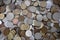 Money, coins, collection of old, invalid international coins