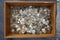 Money, coins, collection of old, invalid international coins, in a wooden box,