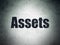 Money concept: Assets on Digital Data Paper background