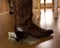 Money cowboy boot