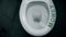 Money flow green letters text on rim toilet seat. Bank money crisis concept