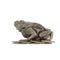 Money frog on a white background. Isolate