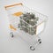 Money full shopping cart concept