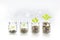 Money growing plant step with deposit coin,  seed in clear bottle on white background. investment