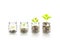 Money growing plant step with deposit coin,  seed in clear bottle on white background. investment