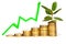 money growth concept. growing stacks of coins with ficus and diagram. 3d elements