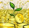 Money growth concept, sprout grows from golden coins, vector illustration