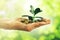 Money growth and investment concept. hand with coins and small plant