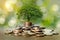 Money growth Saving money. Upper tree coins to shown concept of growing business