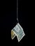 Money hanging on a fish hook