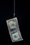 Money hanging on a fish hook