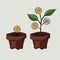 Money investment coin plant investment create tree of cash
