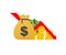 Money loss. Cash with down arrow stocks graph, concept of financial crisis, market fall. Vector illustration.