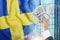 Money in a man`s hand against the background of the flag of Sweden. The income of the Swedes. The financial condition of resident